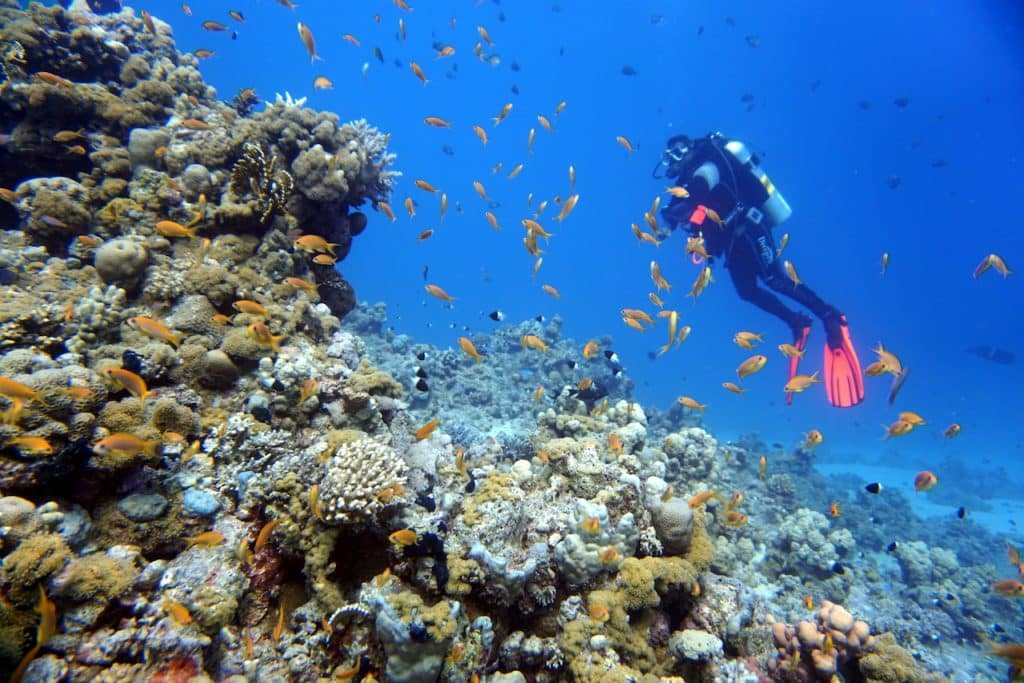 Travel report Soma Bay - The Red Sea has a lot to offer in terms of water sports and activities: snorkeling, diving, sailing and windsurfing are among them.