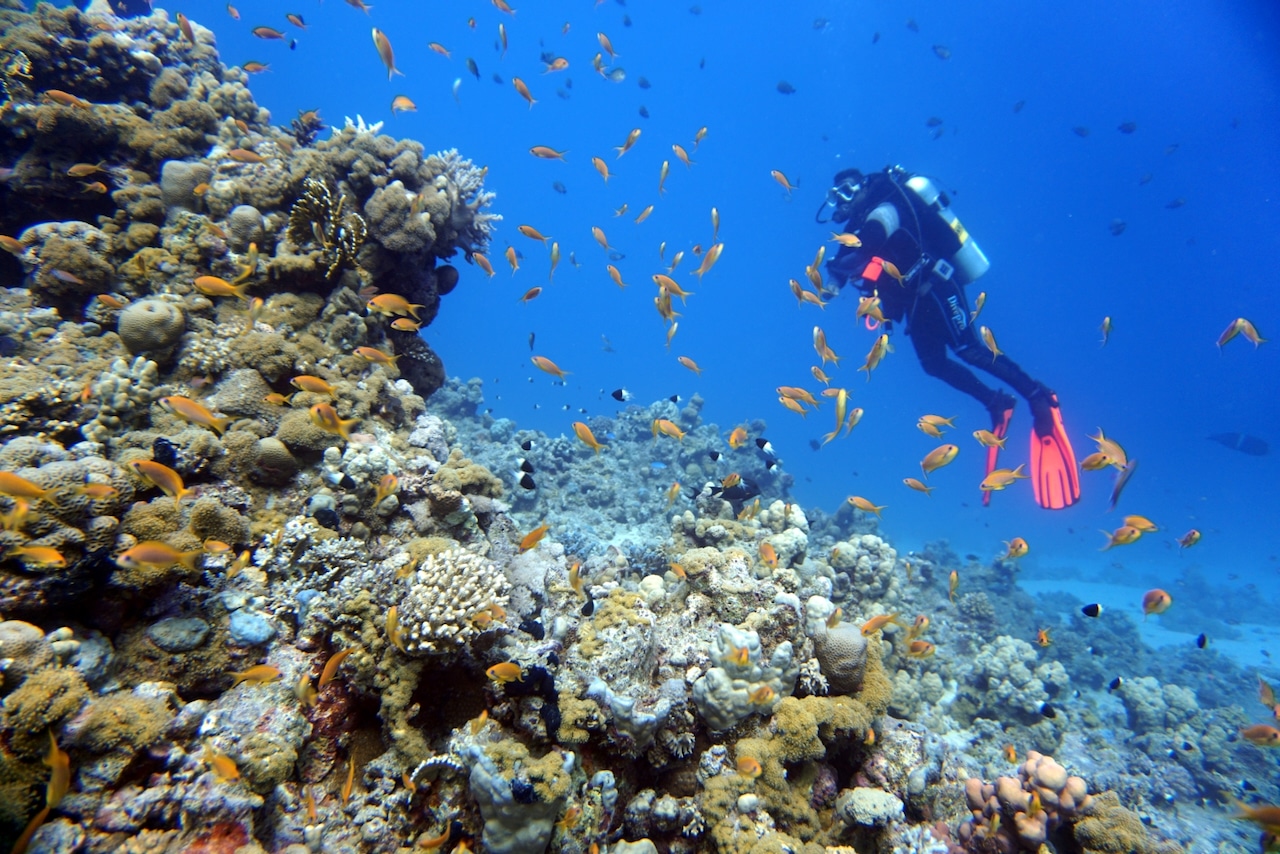 Scuba World Divers si dirige verso i siti di immersione più belli del Mar Rosso nordoccidentale. Foto: Sascha Tegtmeyer