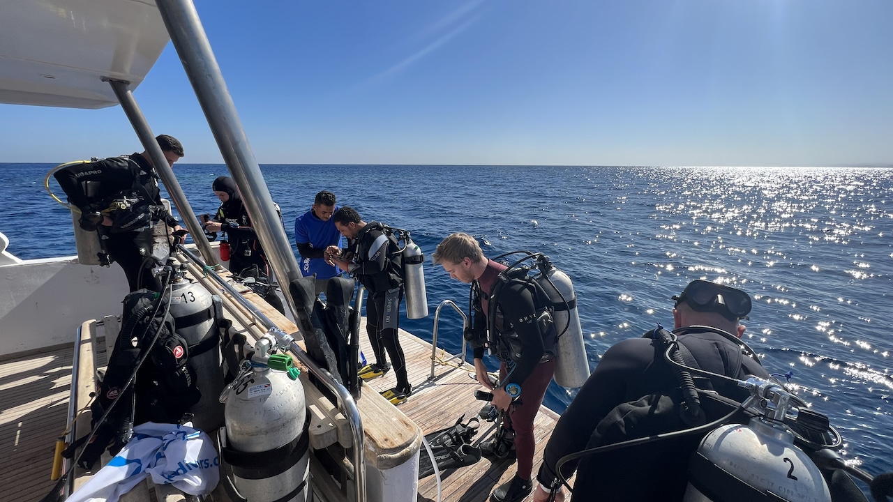 Scuba World Divers Soma Bay Buceo Soma Bay Experiences Review IMG 6681 1 Buceo en el Salem Express Wreck Review: el regreso al barco fantasma