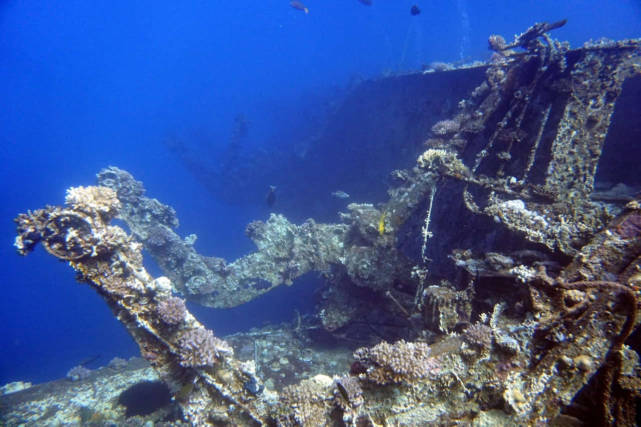 Scuba World Divers Soma Bay Immersioni Soma Bay Esperienze Rapporto sul campo Impressionante senza fine: il relitto del Salem Express. Foto: Sascha Tegtmeyer
