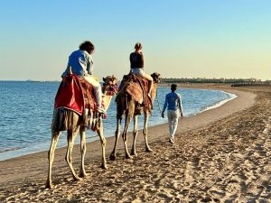 Ägypten – der große Wüstenstaat in Nordafrika ist eines der beliebtesten Reiseziele für Pauschalreisen und individuelle Entdeckungstouren. Während die einen am Roten Meer entspannen möchte, wollen die anderen die antiken Stätten und einzigartige Kultur des Landes erkunden. Wenn du aktuell eine Reise nach Ägypten planst, kannst du von meinen Reiseinformationen für Ägypten profitieren. Hierin habe ich dir ganz viele hilfreiche Informationen zusammengestellt, die dich unterstützen, deinen Urlaub im Land der Pharaonen noch schöner zu machen.