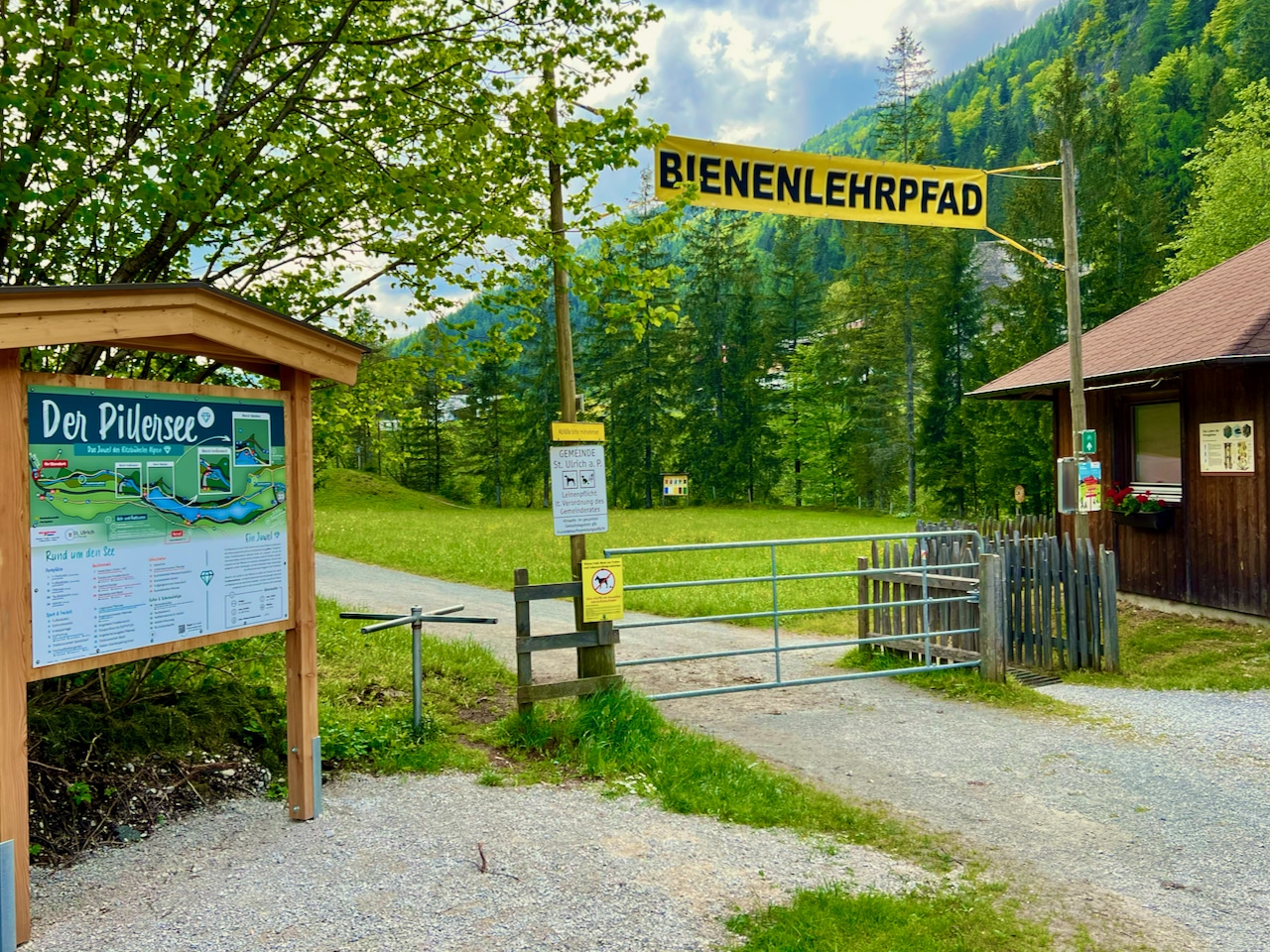 El sendero de las abejas crea conciencia sobre estos fascinantes animales. Travel Report Fieberbrunn Pillerseetal experiencias consejos lugares de interés actividades