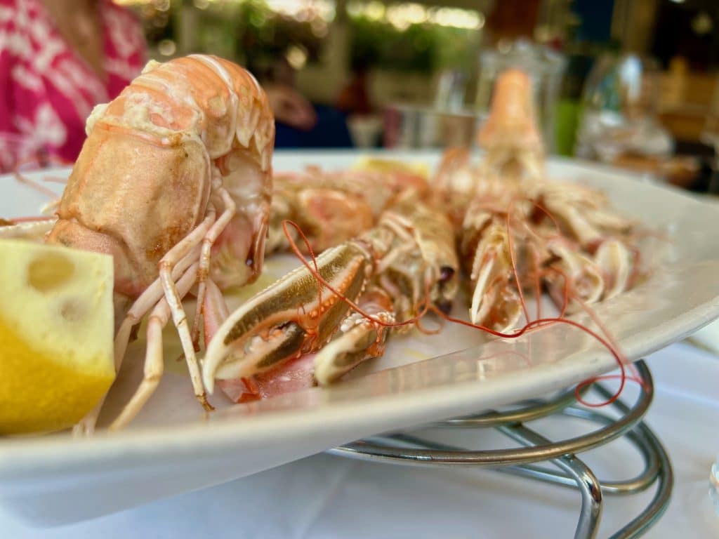 The lobsters from the Kvarner Bay are considered a delicacy. Photo: Sascha Tegtmeyer Travel report Krk tips experiences experience report