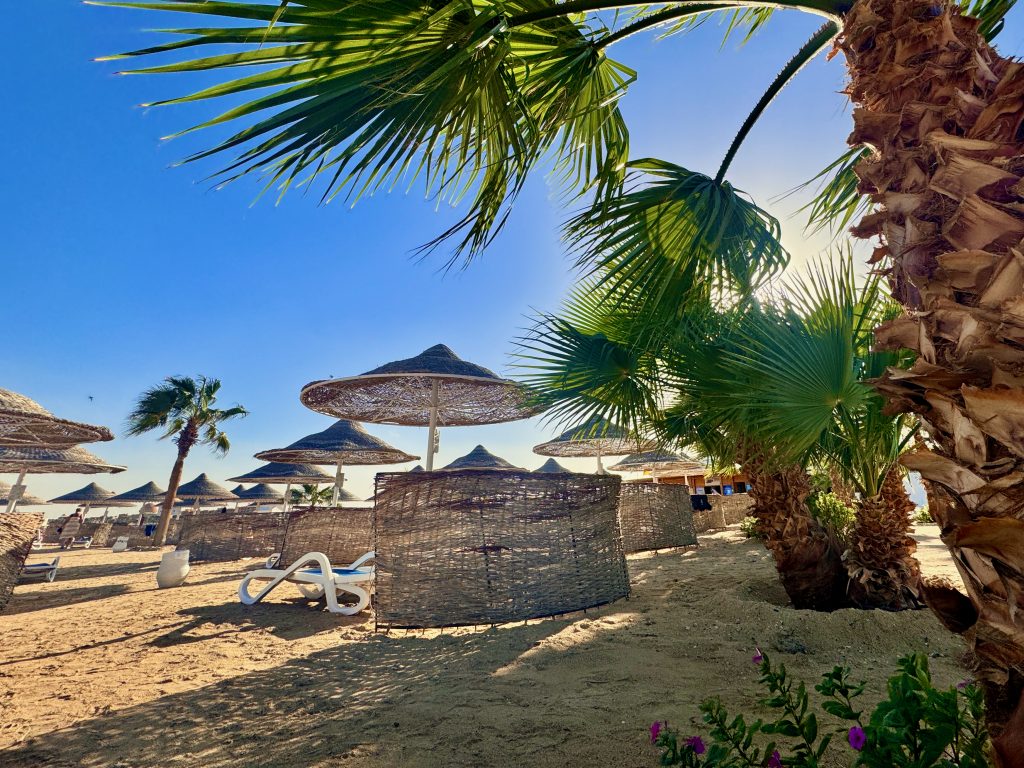 I looked for a shady spot under a palm tree. Photo: Sascha Tegtmeyer Abu Dabbab travel report experiences tips