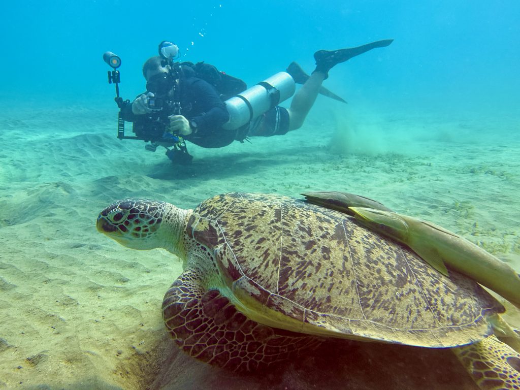 La aventura te espera en Egipto bajo la superficie del mar. Foto de : Sascha Tegtmeyer