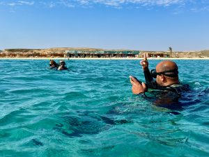Plongée Abu Dabbab Blue Ocean Dive Center Expériences