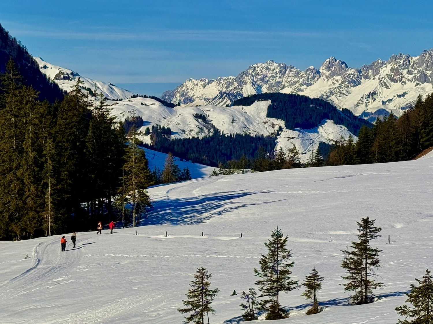L'un des plus beaux sentiers de randonnée hivernale du PillerseeTal se trouve à la station intermédiaire de Streuboden à Fieberbrunn. Photo : Sascha Tegtmeyer Séjour au ski à Fieberbrunn Vacances d'hiver Rapport de voyage Rapport d'expérience Photo : Sascha Tegtmeyer